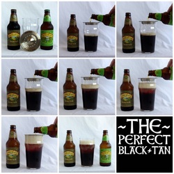 Sierra Nevada Black and Tan beer